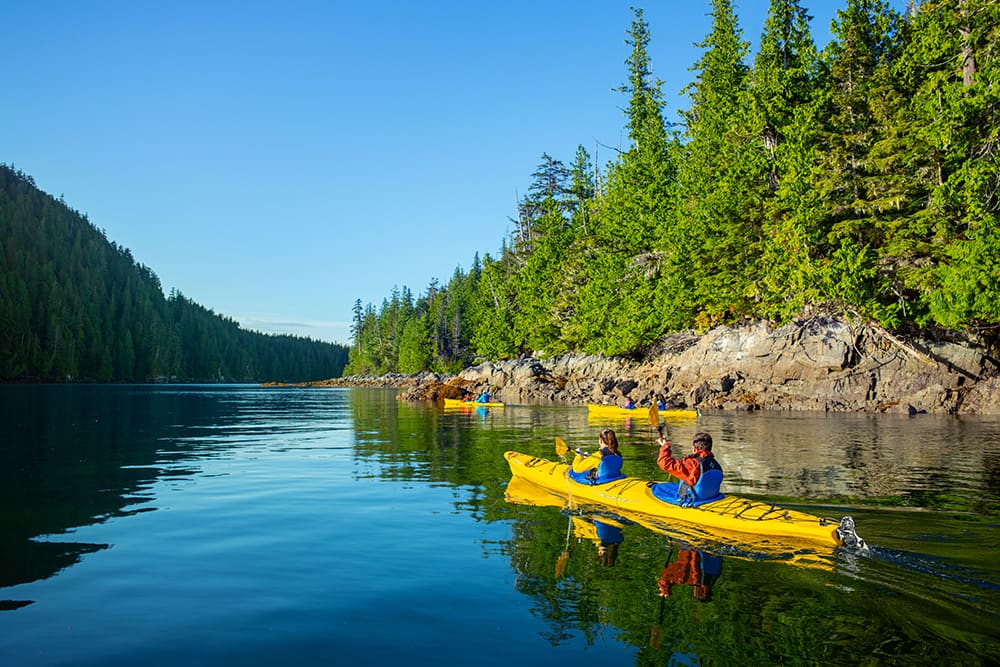 A group of tourists kayaking in Alaska A group of tourists kayaking in Alaska