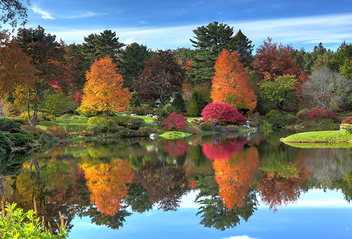 Canada & New England Cruises