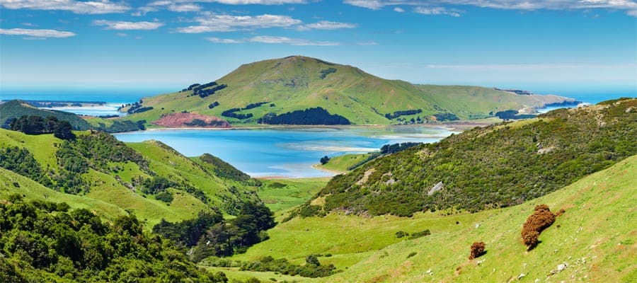 Dunedin Coastal View