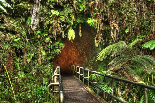 Entrance to Thurston Lava Tube