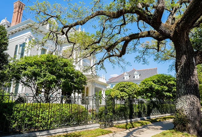 Cruises from New Orleans