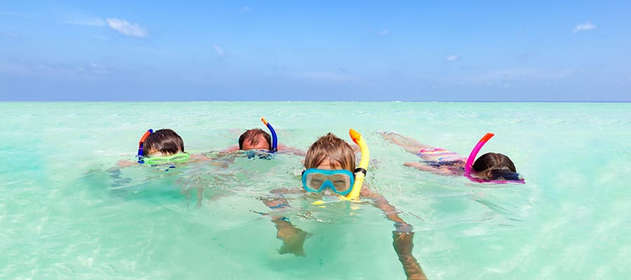 Snorkel in one of Bermuda's beaches