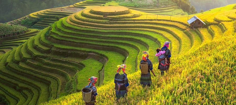 Cruise to Vietnam