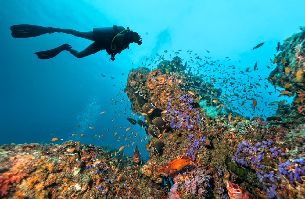 6 Thrilling Things to Do in Bermuda