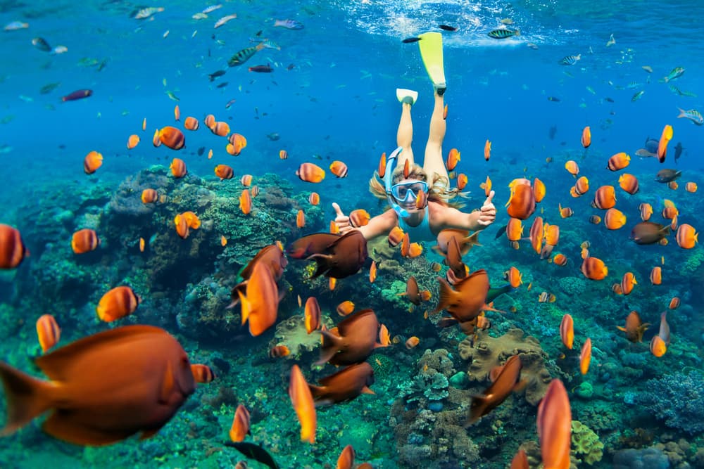 5 of the Best Nassau Shore Excursions with Norwegian